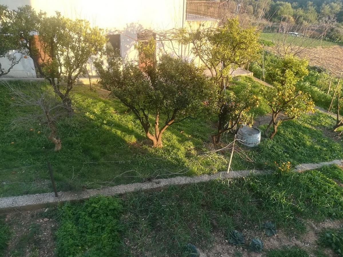 Apartments Barisic Hrvatskih Zrtava 404 Seget Vranjica Τρογκίρ Εξωτερικό φωτογραφία